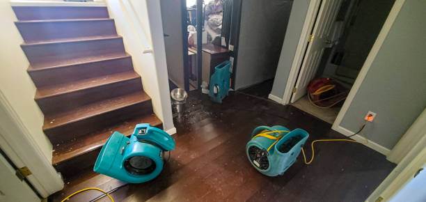 Best Fire Damage Restoration  in Wlow Springs, IL