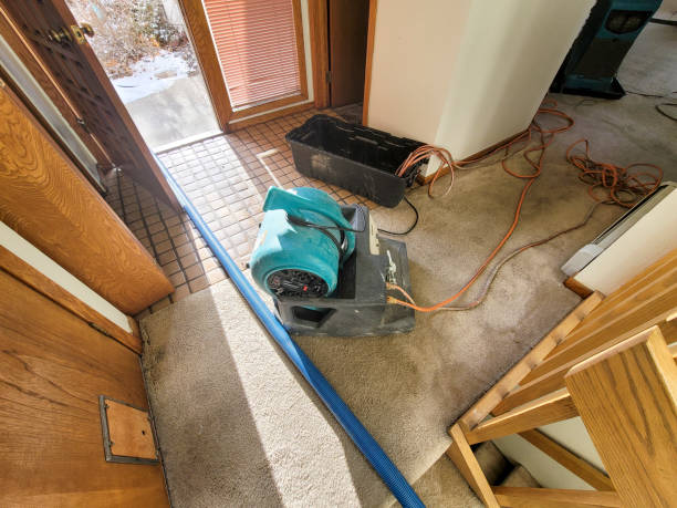Best Professional water damage repair  in Wlow Springs, IL