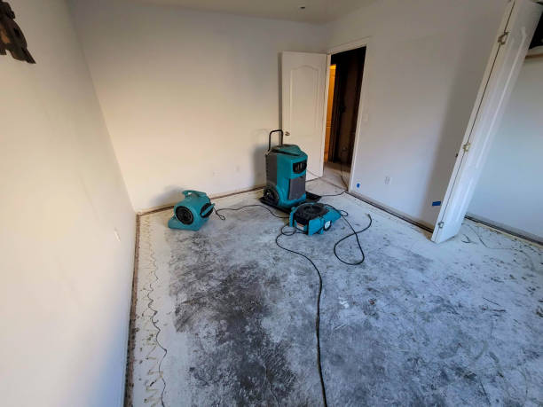 Best Flood restoration services  in Wlow Springs, IL