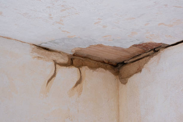 Sewage cleanup and water damage restoration in Willow Springs, IL