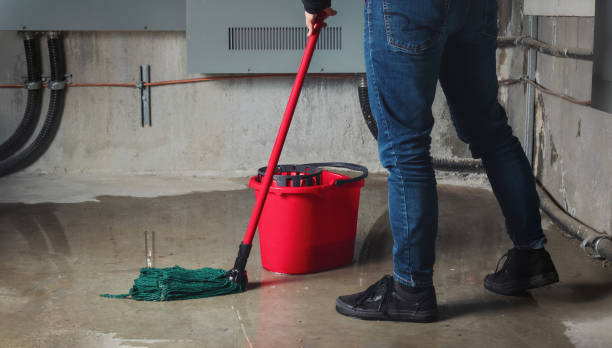 Best Water damage cleanup near me  in Wlow Springs, IL