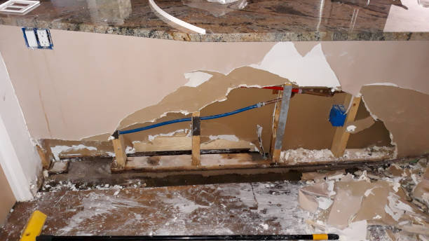 Sewage cleanup and water damage restoration in Willow Springs, IL