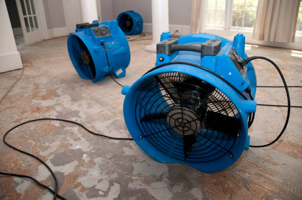 Best Basement water damage restoration  in Wlow Springs, IL