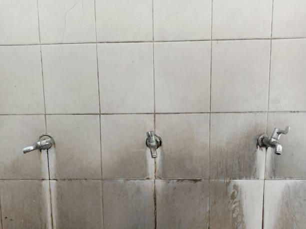 Best 24-hour water damage restoration  in Wlow Springs, IL