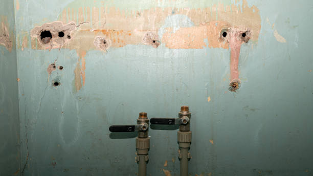 Best Sewage cleanup and water damage restoration  in Wlow Springs, IL