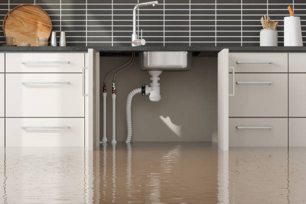 Professional Water damage restoration in Willow Springs, IL