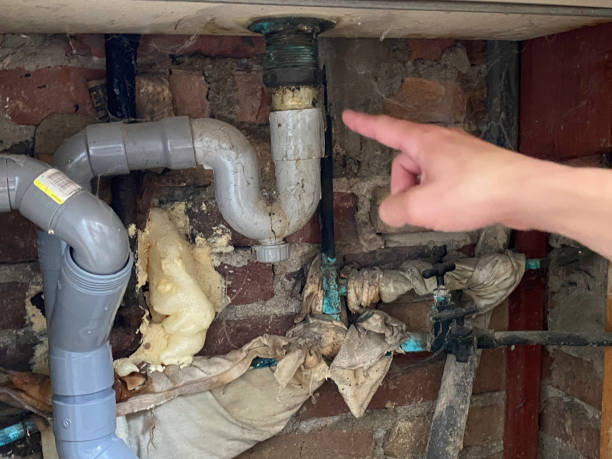 Best 24-hour water damage restoration  in Wlow Springs, IL